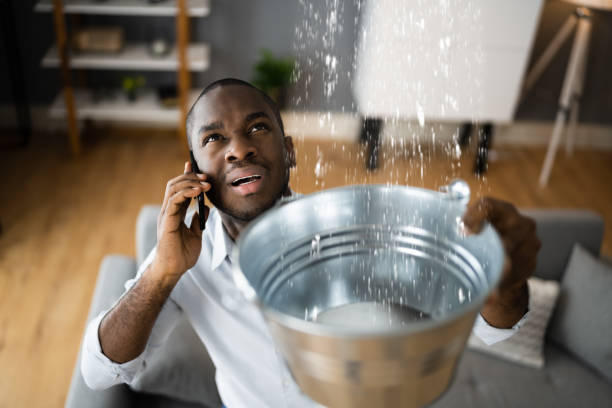 Best Emergency water extraction  in Staples, MN