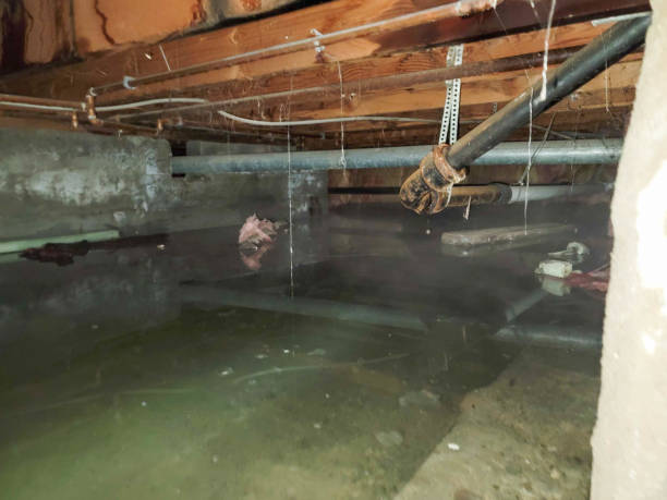 Best Emergency water damage restoration  in Staples, MN