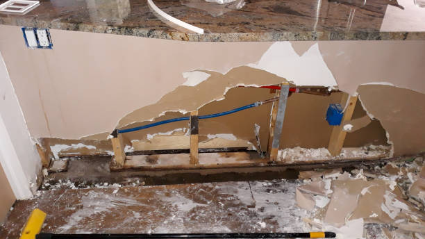 Best Mold removal after water damage  in Staples, MN
