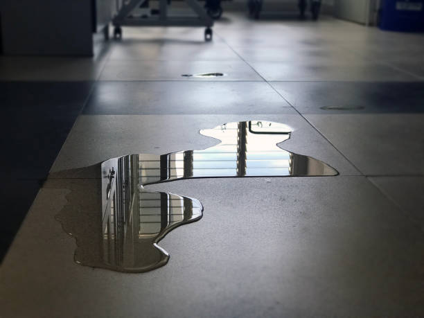 Reliable MN Water damage restoration Solutions