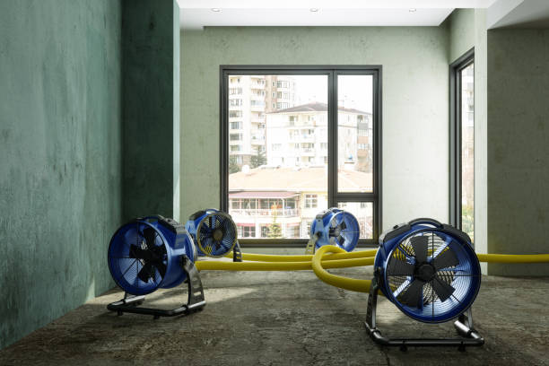 Water damage restoration process in MN
