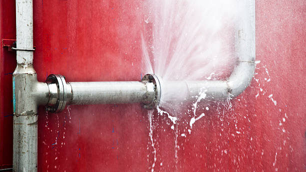 Best Local water damage restoration  in Staples, MN