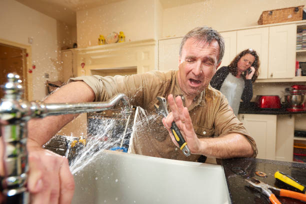 Best Flood restoration services  in Staples, MN